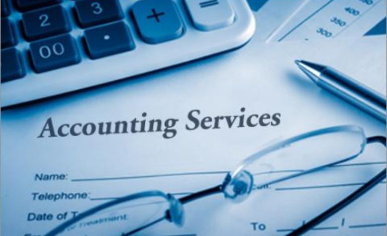 Service Provider of Accounting Services in New Delhi, Delhi, India.